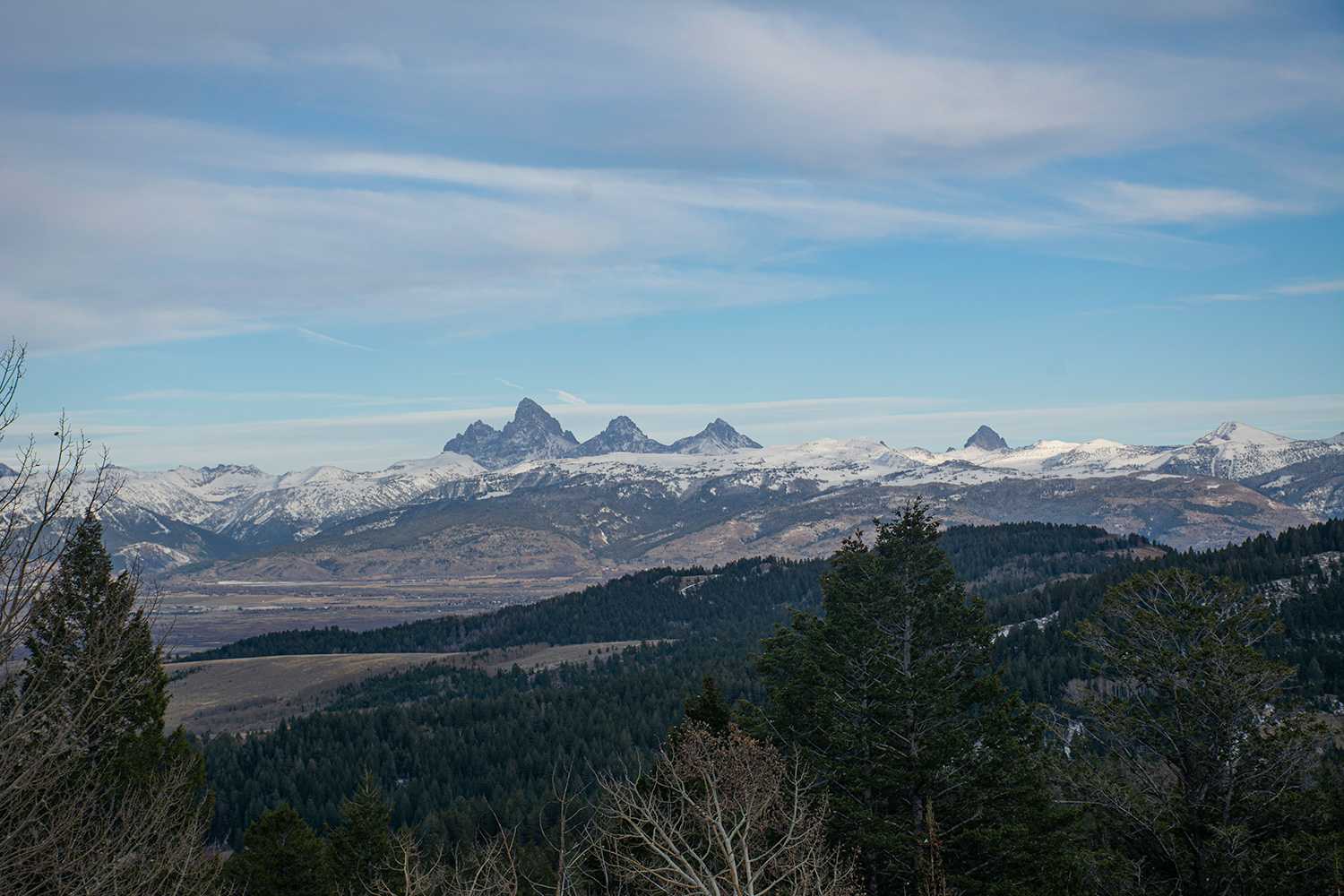 Horseshoe Yurt Teton Valley Trails and Pathways
